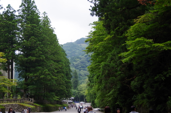 b0356401_23374486.jpg