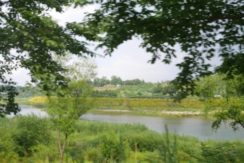 a0140305_01293098.jpg