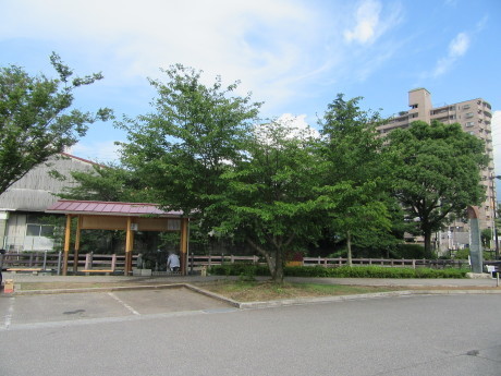 f0231709_08133155.jpg