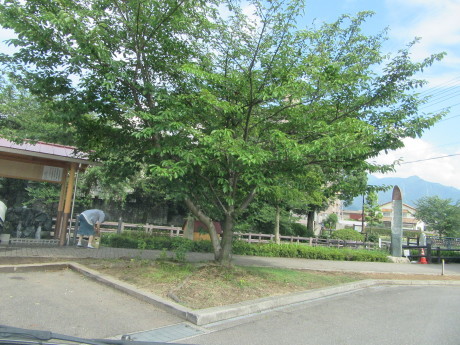 f0231709_08242588.jpg