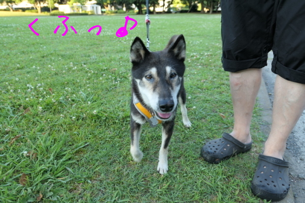 f0369014_14275670.jpg