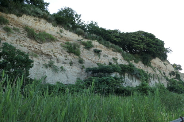 f0369014_14285755.jpg