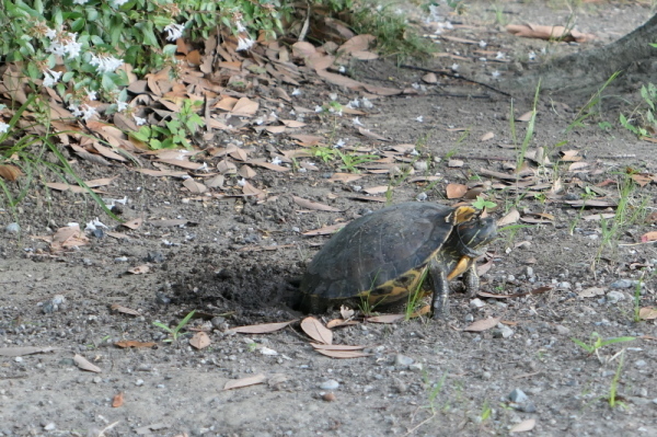 f0369014_14300814.jpg