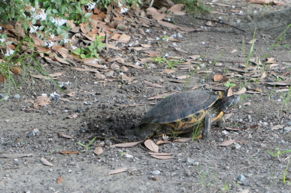 f0369014_14304250.jpg