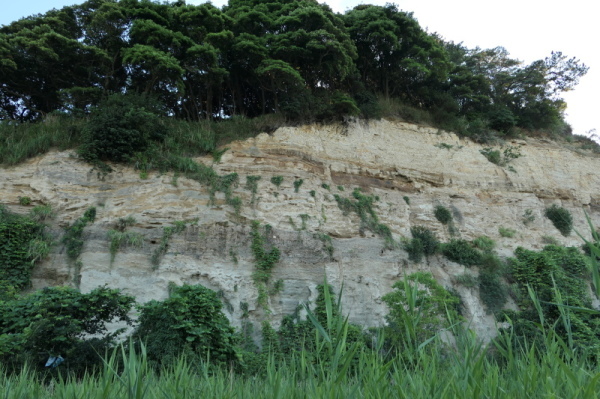 f0369014_14312178.jpg