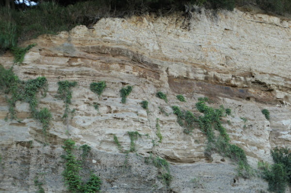 f0369014_14314409.jpg