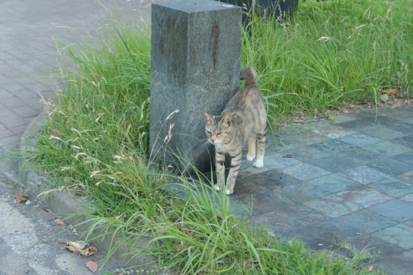 f0369014_14321425.jpg