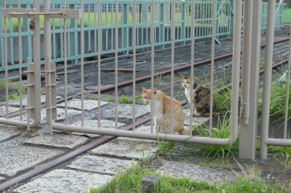 f0369014_14325435.jpg