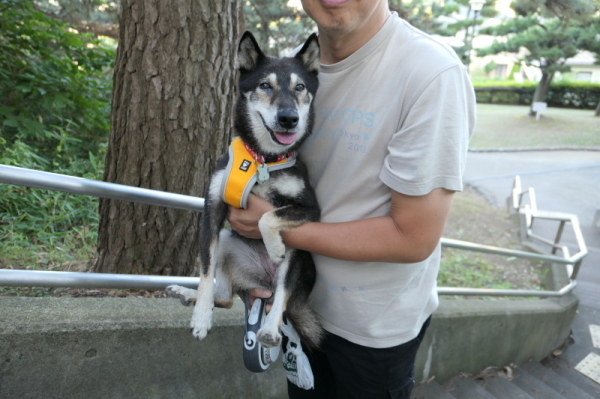 f0369014_14505530.jpg