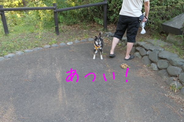 f0369014_14530631.jpg