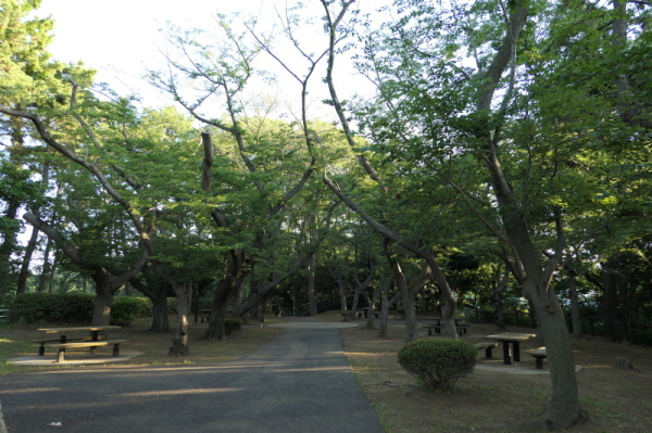 f0369014_14535419.jpg