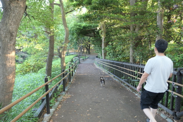 f0369014_14543204.jpg