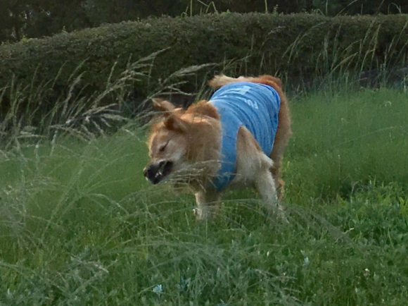 a0098418_09273079.jpg