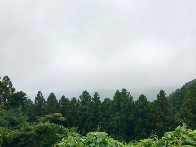 b0194923_13271419.jpg