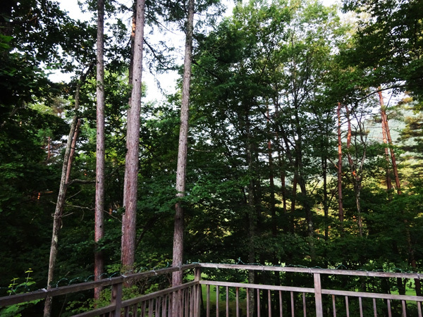 e0192725_05381370.jpg