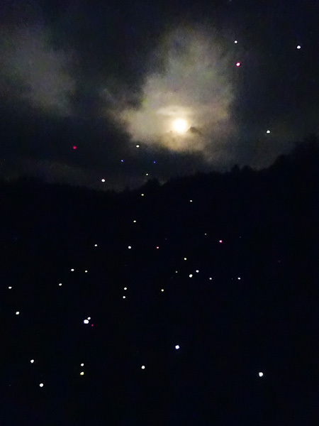 e0192725_09161881.jpg