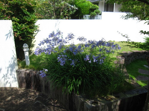 e0350927_10442494.jpg