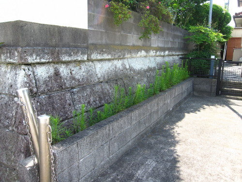 e0350927_10462214.jpg