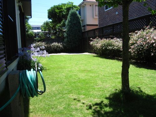 e0350927_10464699.jpg