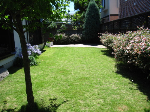 e0350927_10465374.jpg