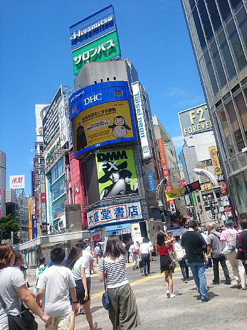 a0222229_6543713.jpg