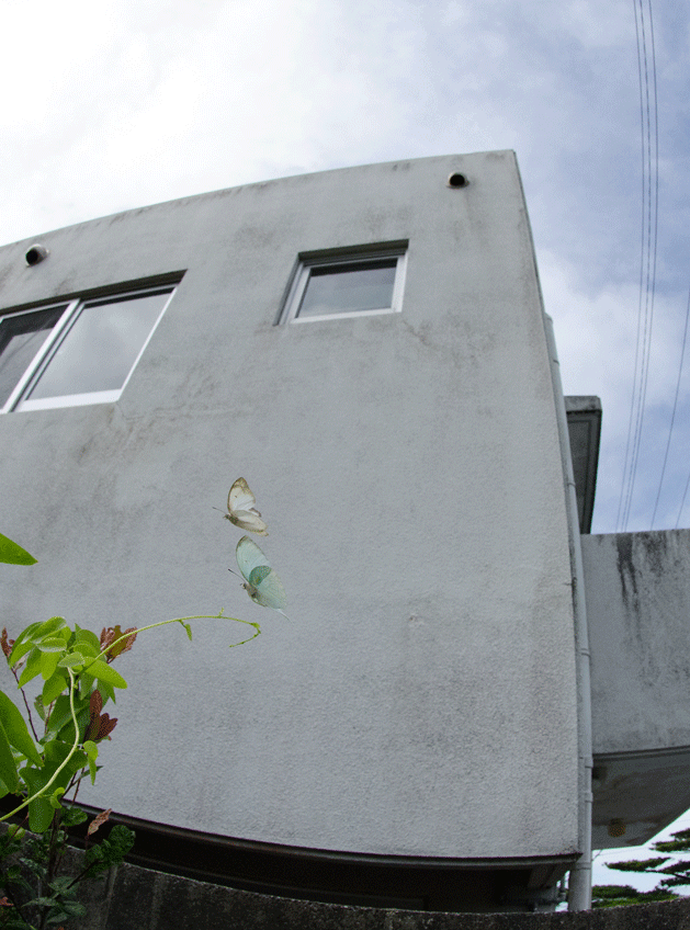 a0126632_19551235.gif