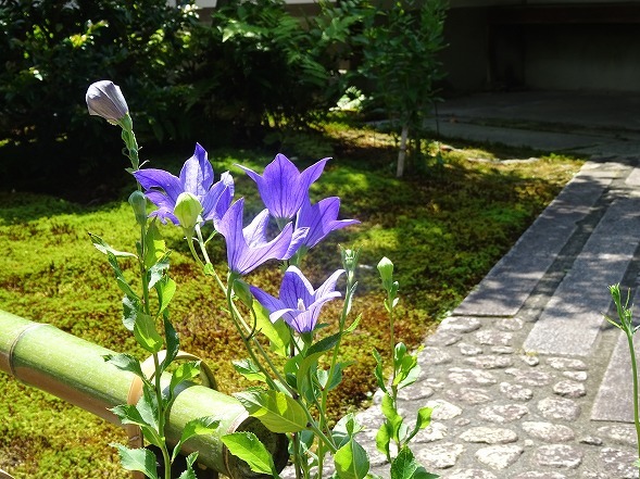 b0299042_13584898.jpg