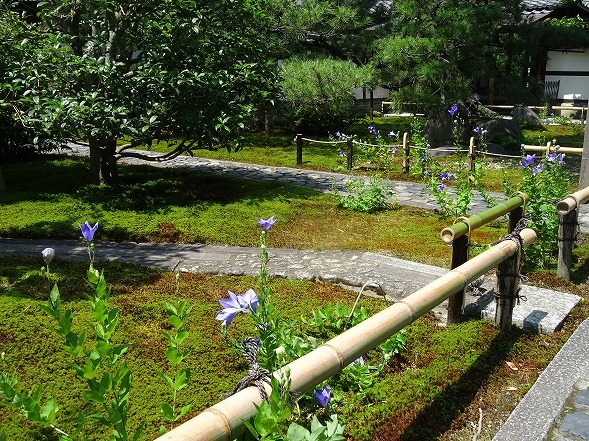 b0299042_13585435.jpg