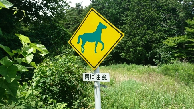 c0295742_23285013.jpg