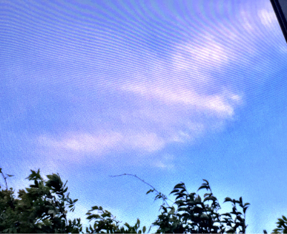 b0181457_09112666.jpg