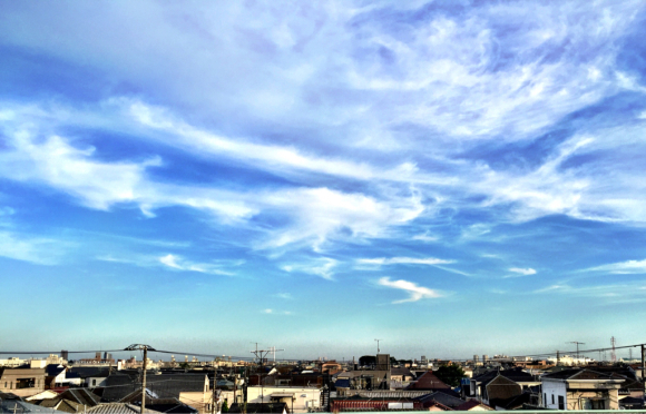 b0181457_21101660.jpg