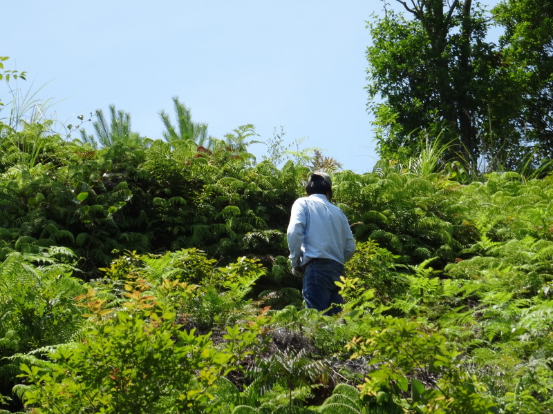 c0108460_21015407.jpg