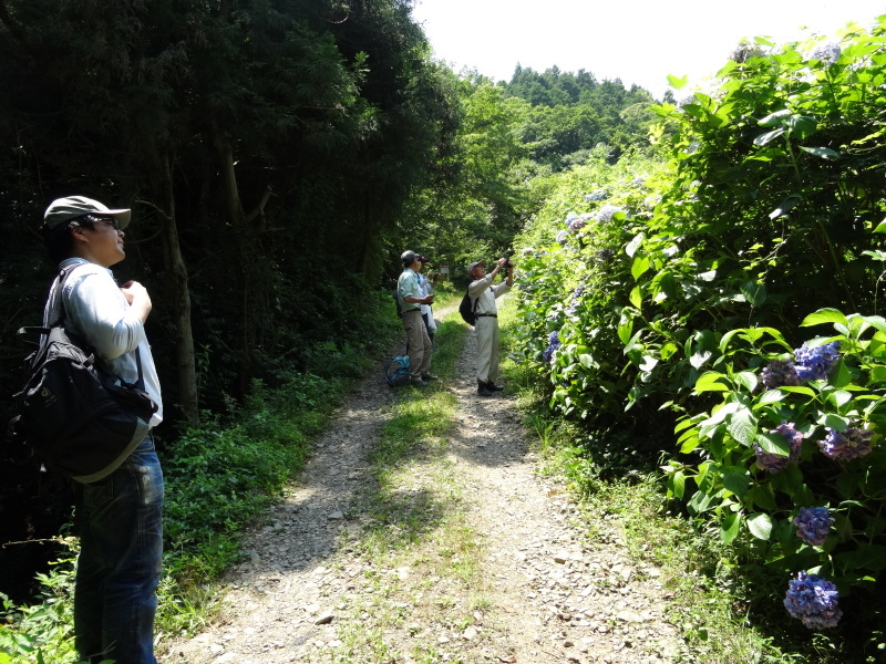 c0108460_21024959.jpg