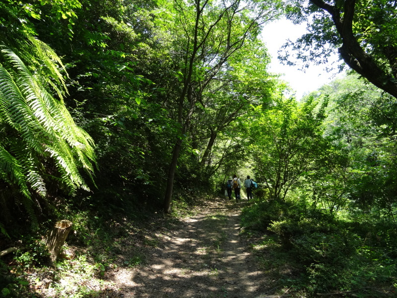 c0108460_21025151.jpg