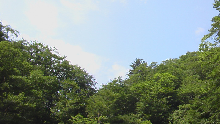 b0208961_16392897.jpg