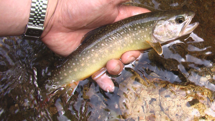 b0208961_16421986.jpg