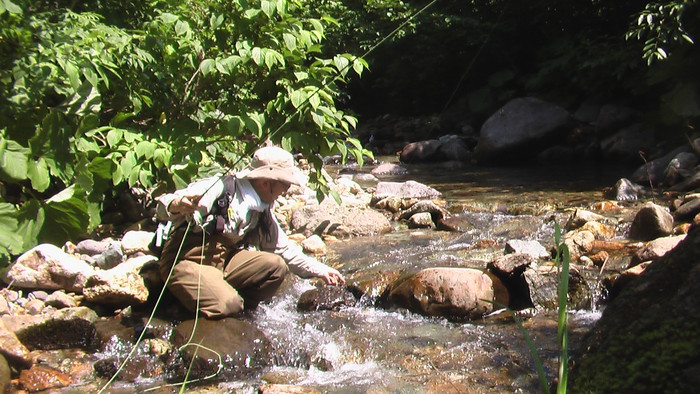b0208961_16522665.jpg