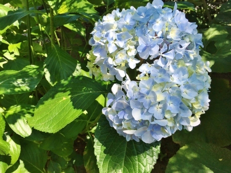 c0248067_10464427.jpg