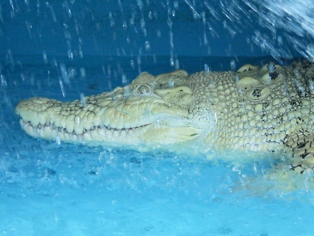 c0105569_00132083.jpg