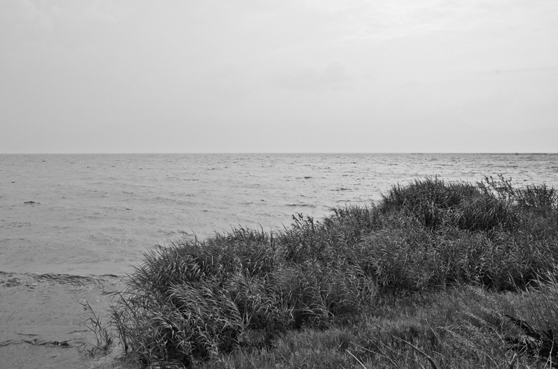 c0131875_05060727.jpg