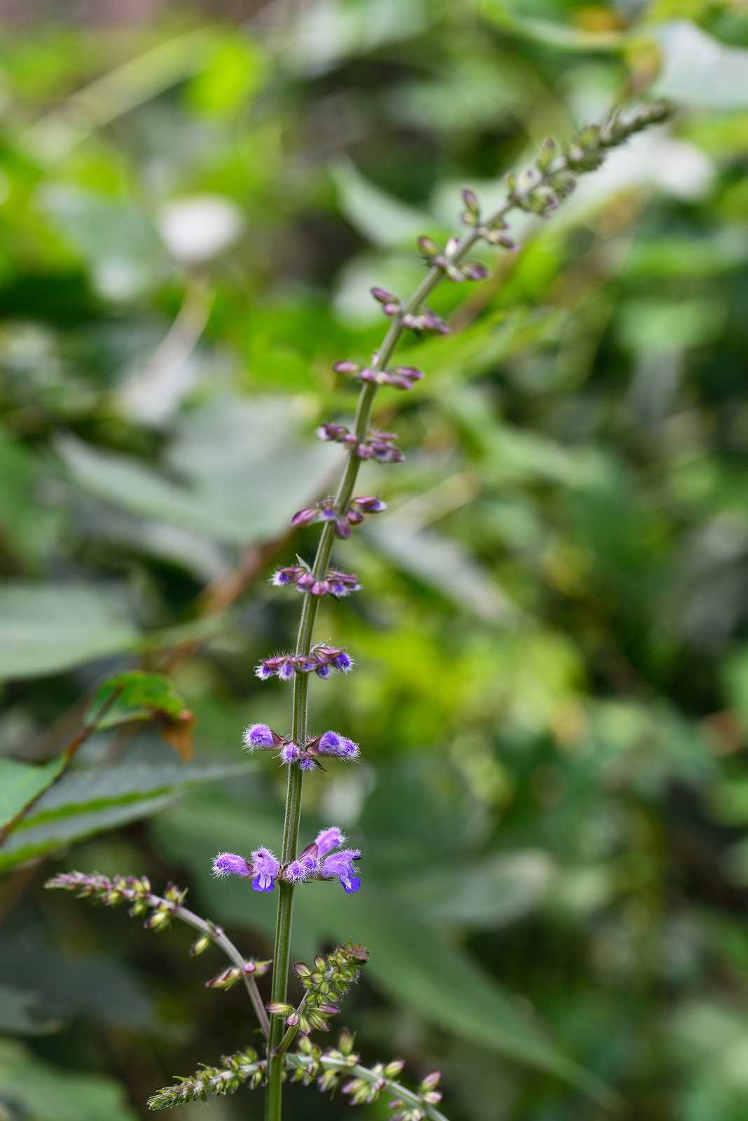 d0328977_17255312.jpg