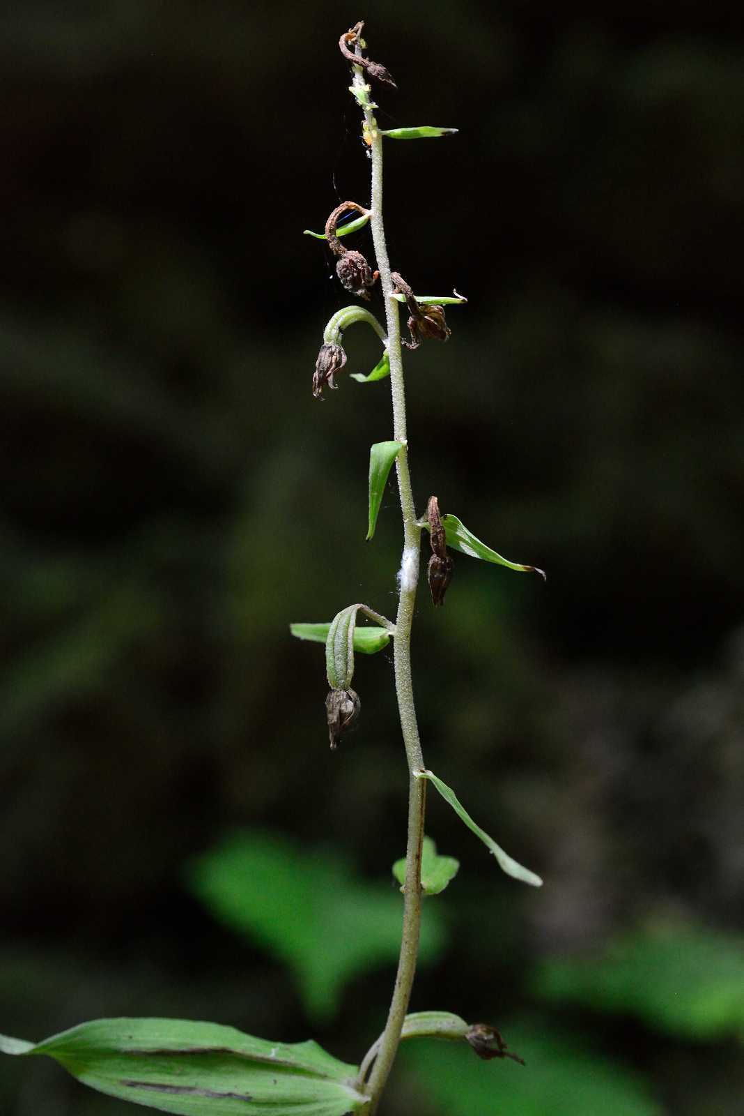 d0328977_17262498.jpg