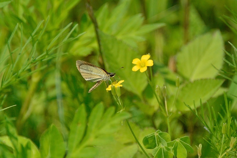 f0031682_16103292.jpg
