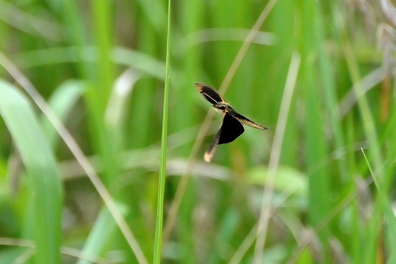 f0031682_16103915.jpg