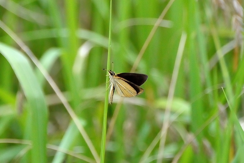 f0031682_16104522.jpg