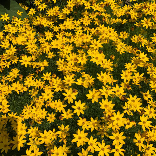 d0204189_10284627.jpg