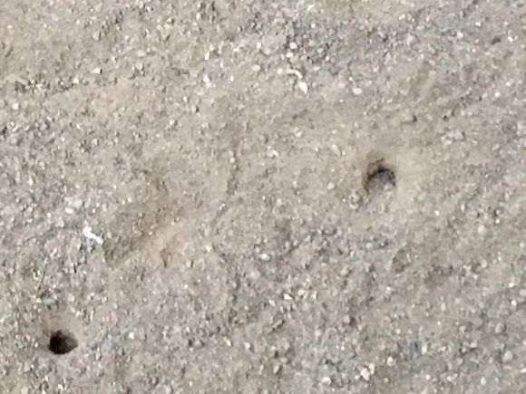 c0123890_20365779.jpg
