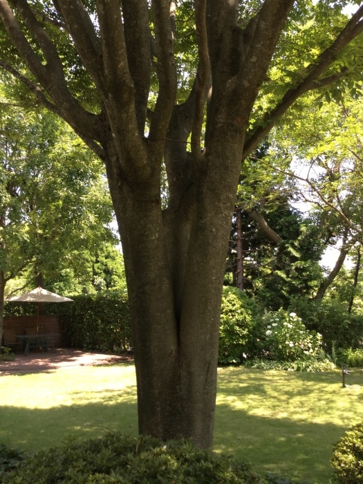 f0268294_06351558.jpg