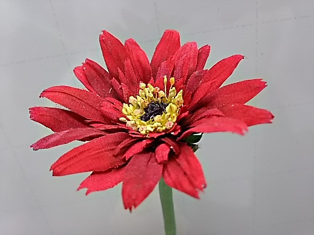 f0303594_22543138.jpg