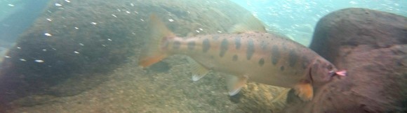 f0266202_16595282.jpg